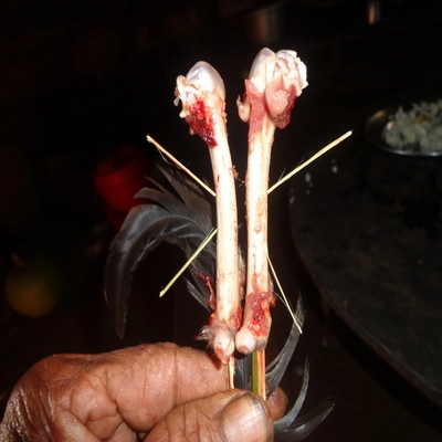 Kayah_Karenni Chiken Bone